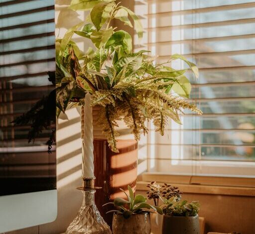 Tips for Creating a Cozy and Productive Home Office Space